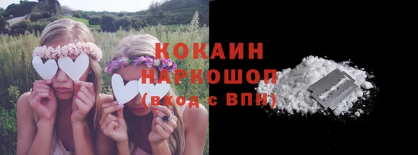 PSILOCYBIN Балахна