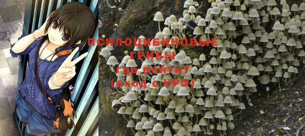 PSILOCYBIN Балахна