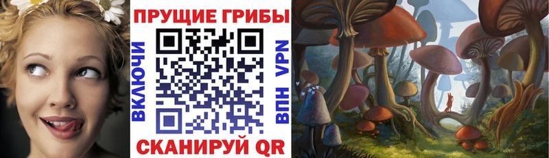как найти закладки  Сегежа  Галлюциногенные грибы Psilocybe 
